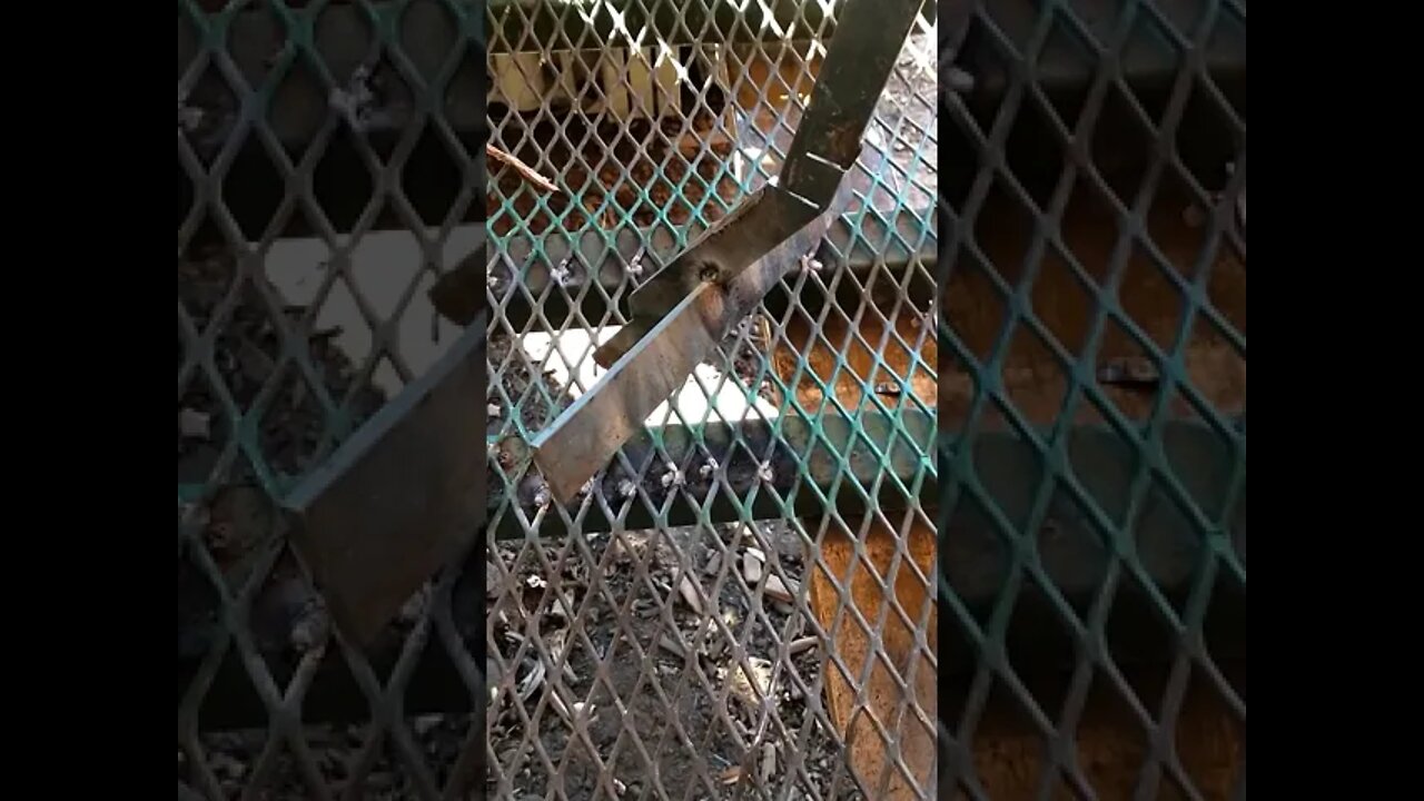 CUTTING INTO AREA SPACE NOTHING LOST