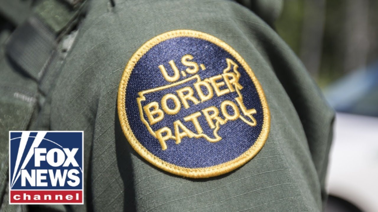 Female border agent assaulted by migrant while working solo