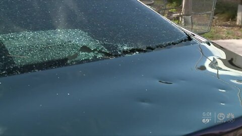 Cars damaged by St. Lucie County hail storm
