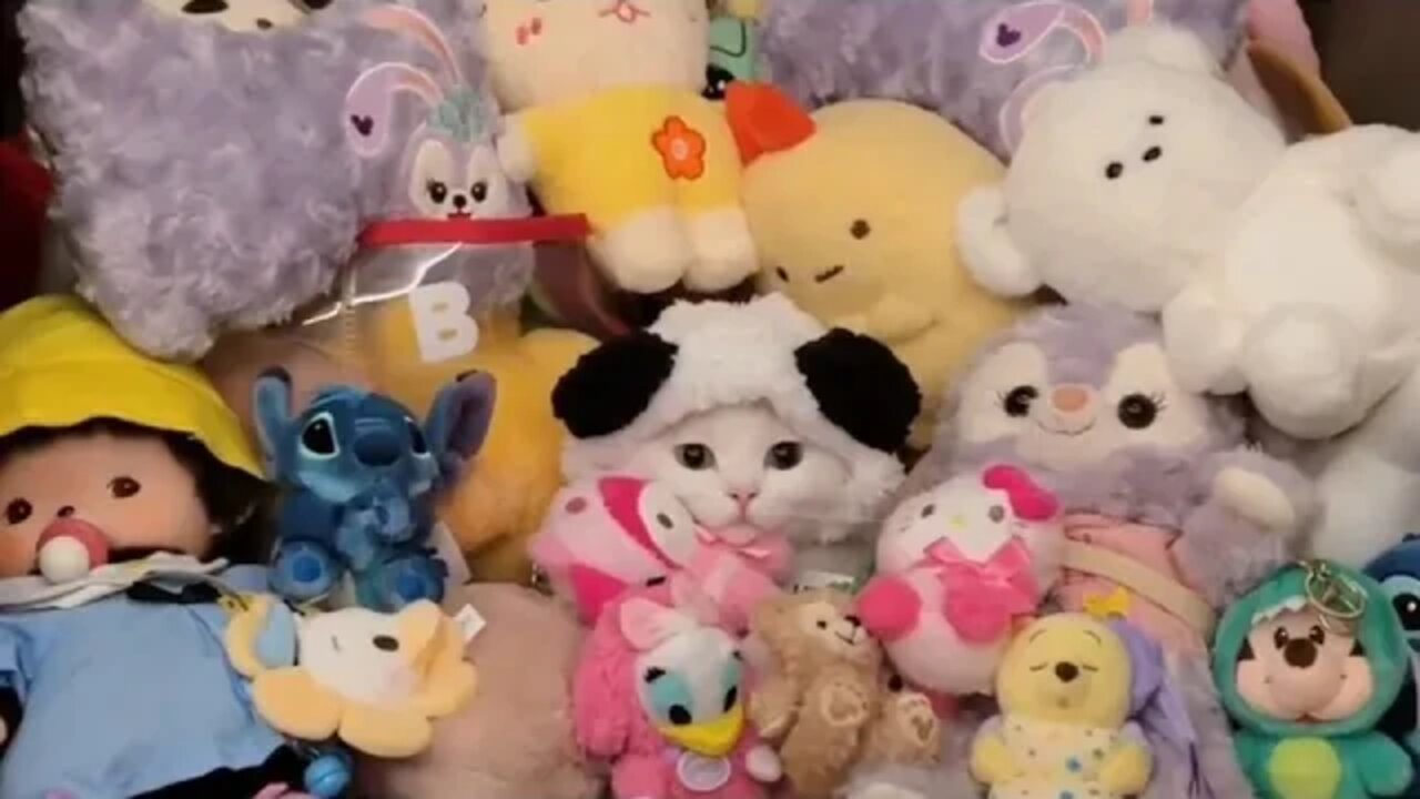 ....Did you spot him