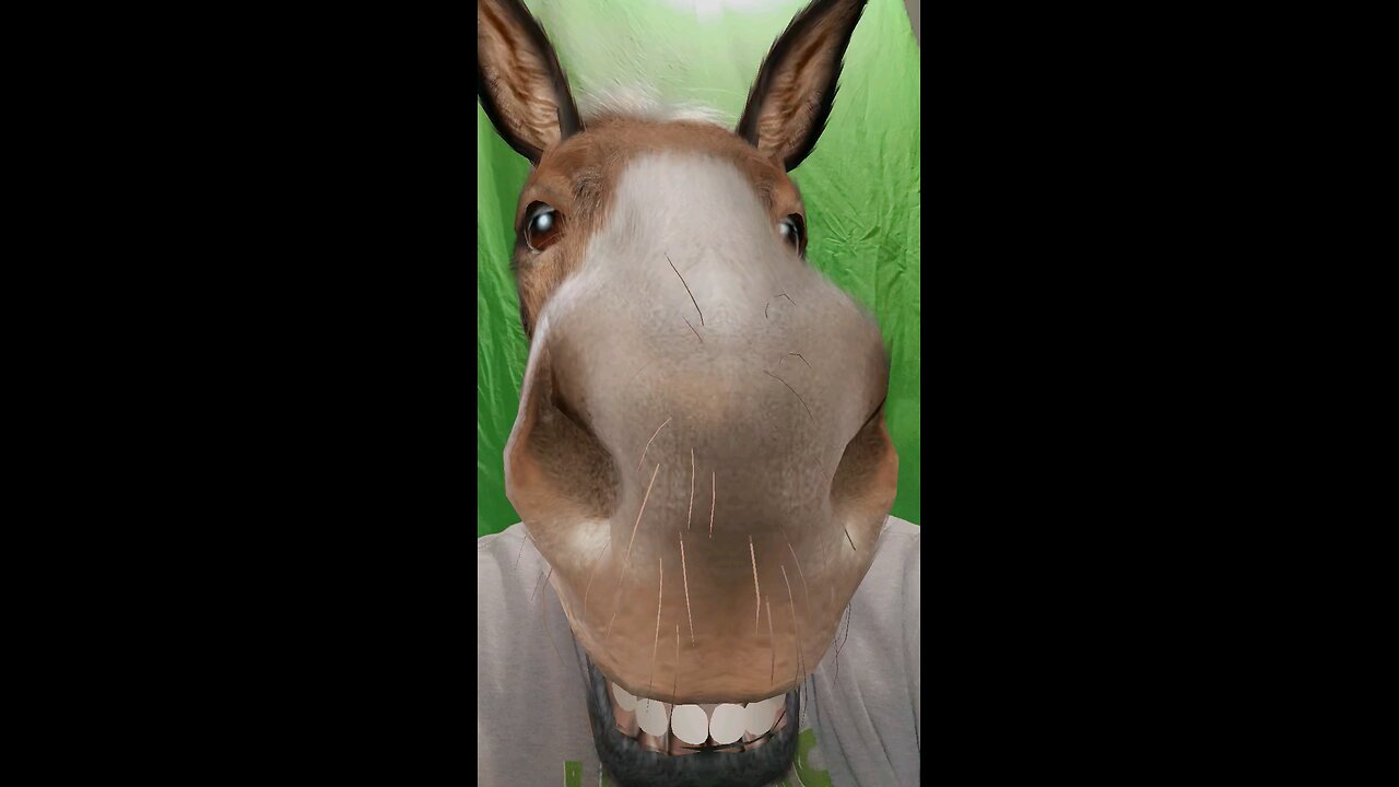 Just because I'm a donkey, don't mean.