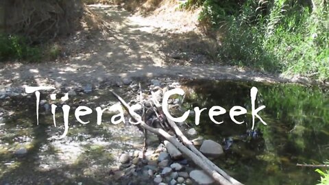 Tijeras Creek in the Summertime