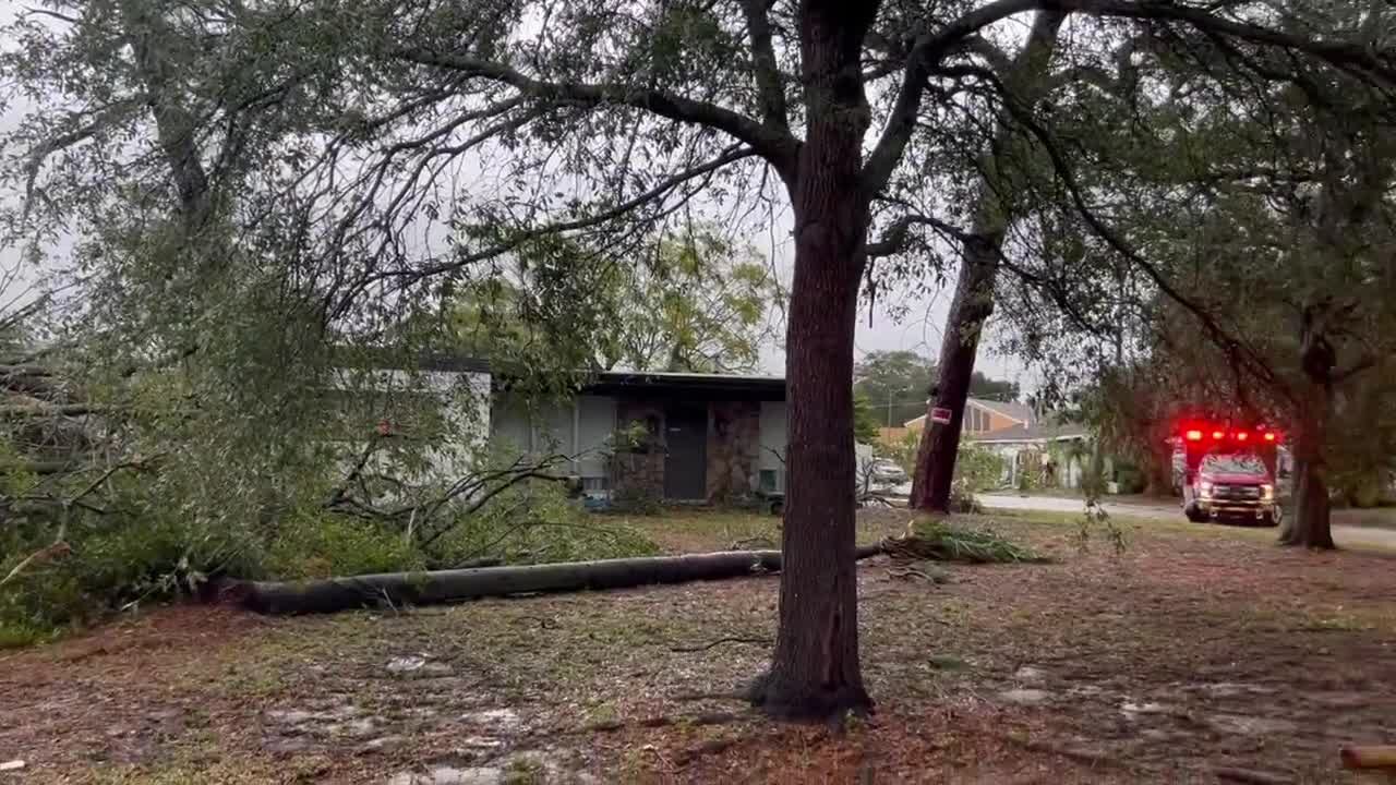 Storm knocks tree down into daycare in St. Petersburg