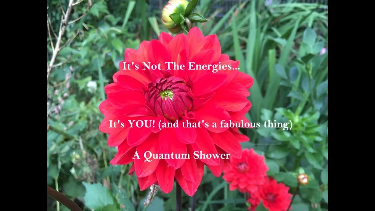 It's Not The Energies... It's YOU! (and that's a fabulous thing) A Quantum Shower