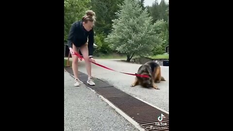 Error Cannot Cross