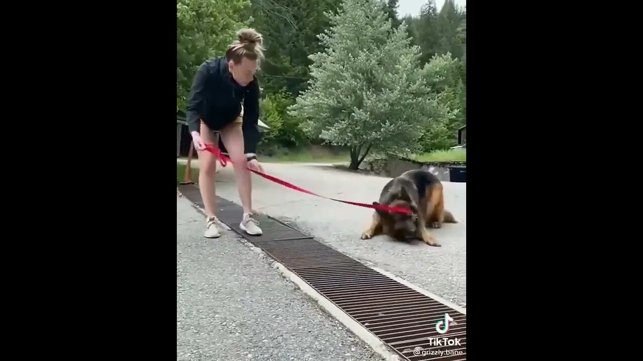 Error Cannot Cross