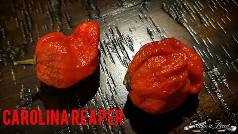 The Carolina Reaper Challenge