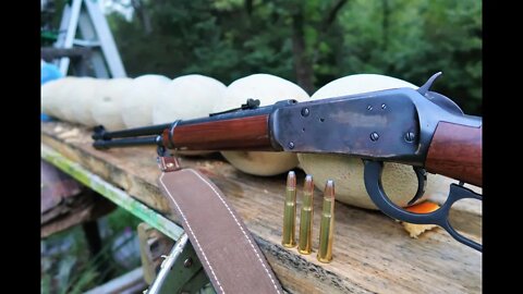 30-30 WINCHESTER MODEL 94 VS CANTELOPES