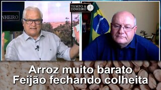 Arroz muito barato; Feijão fechando colheita