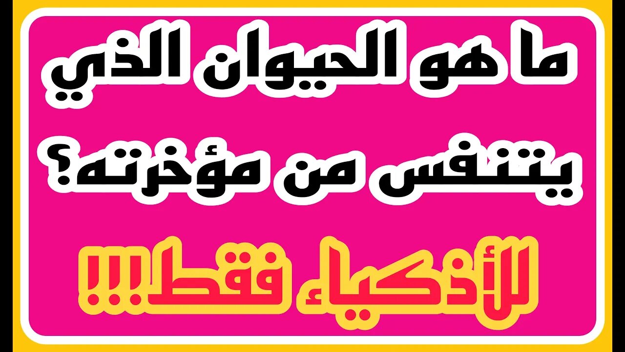 ثقافة اسلامية - اسئلة ثقافية متنوعة - اسئله عن رسل الله - معلومات ومسابقات - الغاز ومنوعات