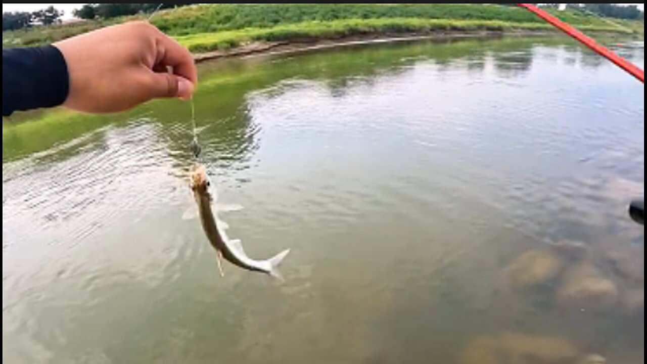 Impressive river fishing trip after work. Amazing relaxing