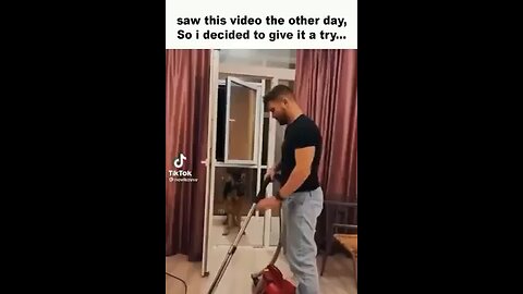 Man’s best friend #Animals#dogs#funny#meme