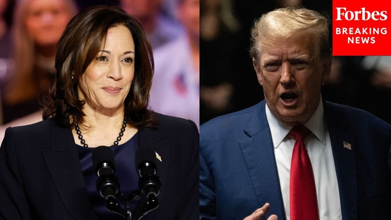 Top Pollster Explains How Energy Behind Kamala Harris 'Has Completely Changed This Election'| CN ✅