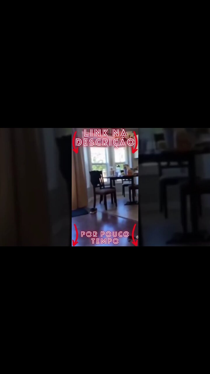 Animais Engraçados e Fofos Se você ama o seu Pet clique no link abaixo!#shorts 32