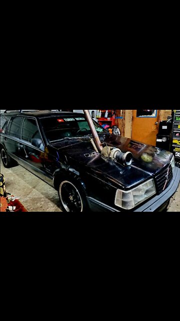 Winter tires with the fur!