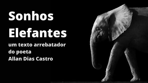 Sonhos elefantes, texto ARREBATADOR de Allan Dias Castro