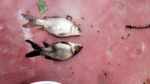 Gone Fishing