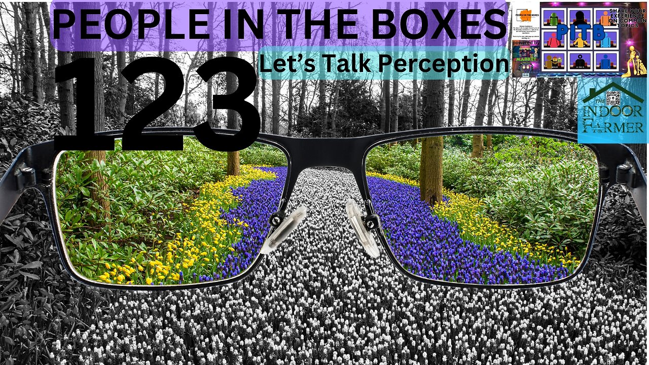 People In The Boxes ep 123, Did I See What I think I Saw? Let's Talk Perception