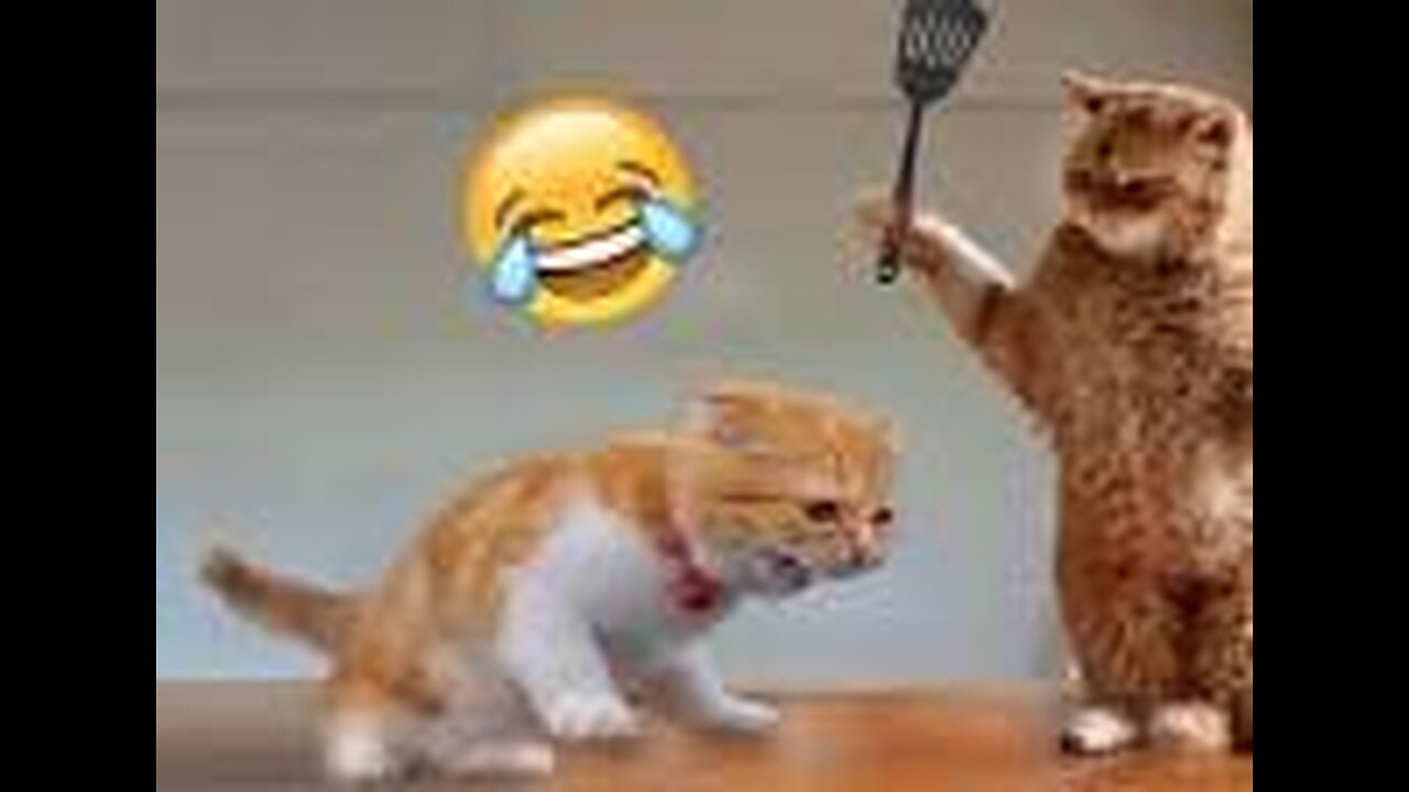 Funniest Animals 2023 π Funny Cats and Dogs Videos πΊπΆ Part 1