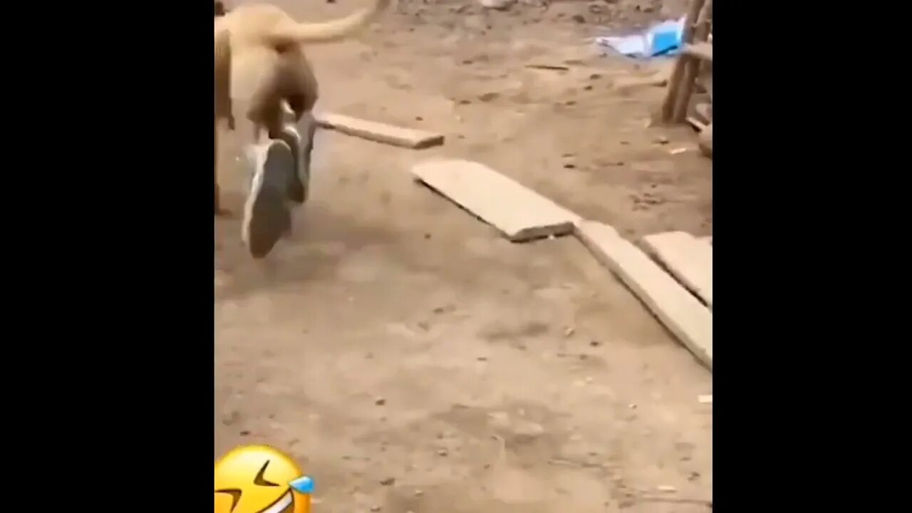 #SHORT #SUBSCRIBE #PLEASE