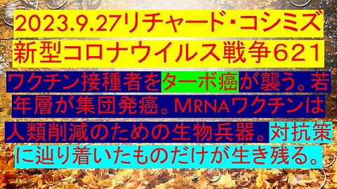 2023.09.27 リチャード・コシミズ新型コロナウイルス戦争６２１