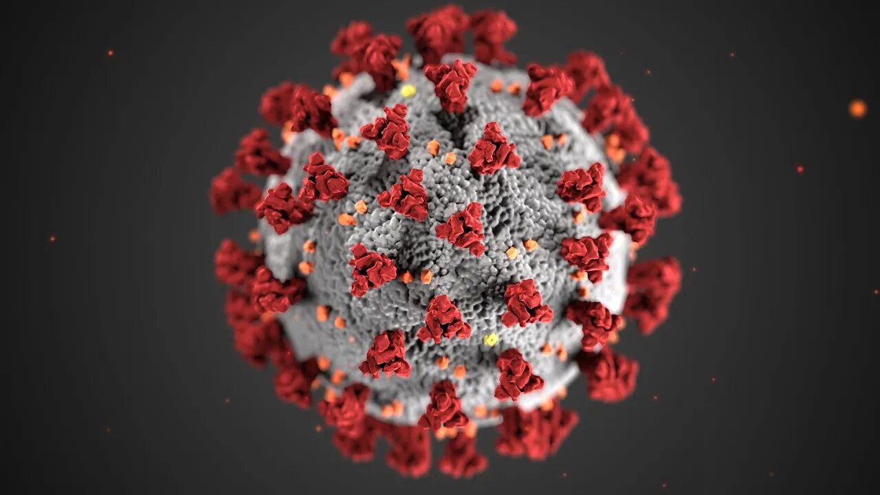 COVID-19 VIRUS USA CORONAVIRUS EXPLAINED BY HIS GRACE SRIMAN SANKARSHAN DAS ADHIKARI