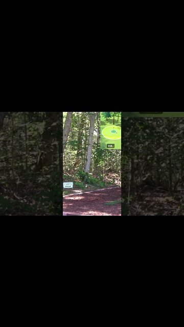 Hole 4 - Mount Massive #Shorts #Golf #GarminR10 #SimGolf #YoutubeShorts