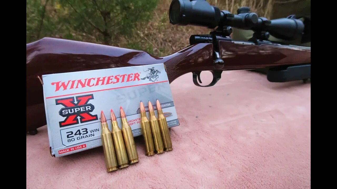 .243 Handloads vs .243 Factory Ammo