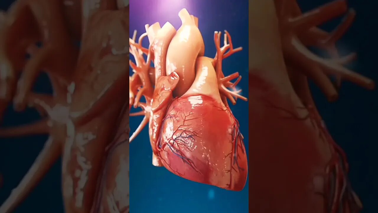 HUMAN HEART ANATOMY 3D MEDICAL ANIMATION||HUMAN HEART FUNCTION||HUMAN 3D HEART FUNCTION