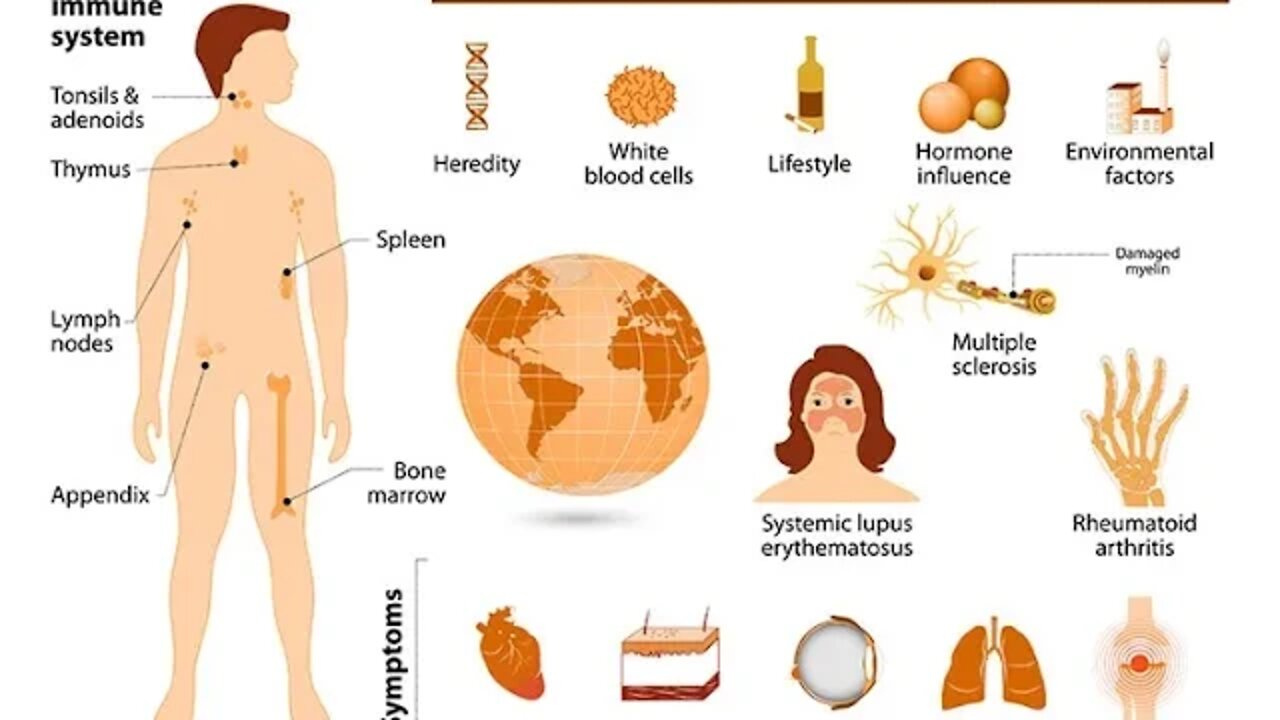 건강한 장이 사람을 살린다, 장 미생물총, 프로바이오틱스, 장 건강의 8할은 균형회복, 조절 T세포, 부족이 질환, 면역계, 궤양성대장염, 유산균, 장면역, 크론병, 세로토닌