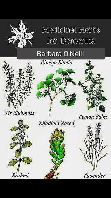 Exposing The Medical Industry's Lies...