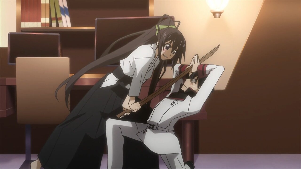 Infinite Stratos - roomates