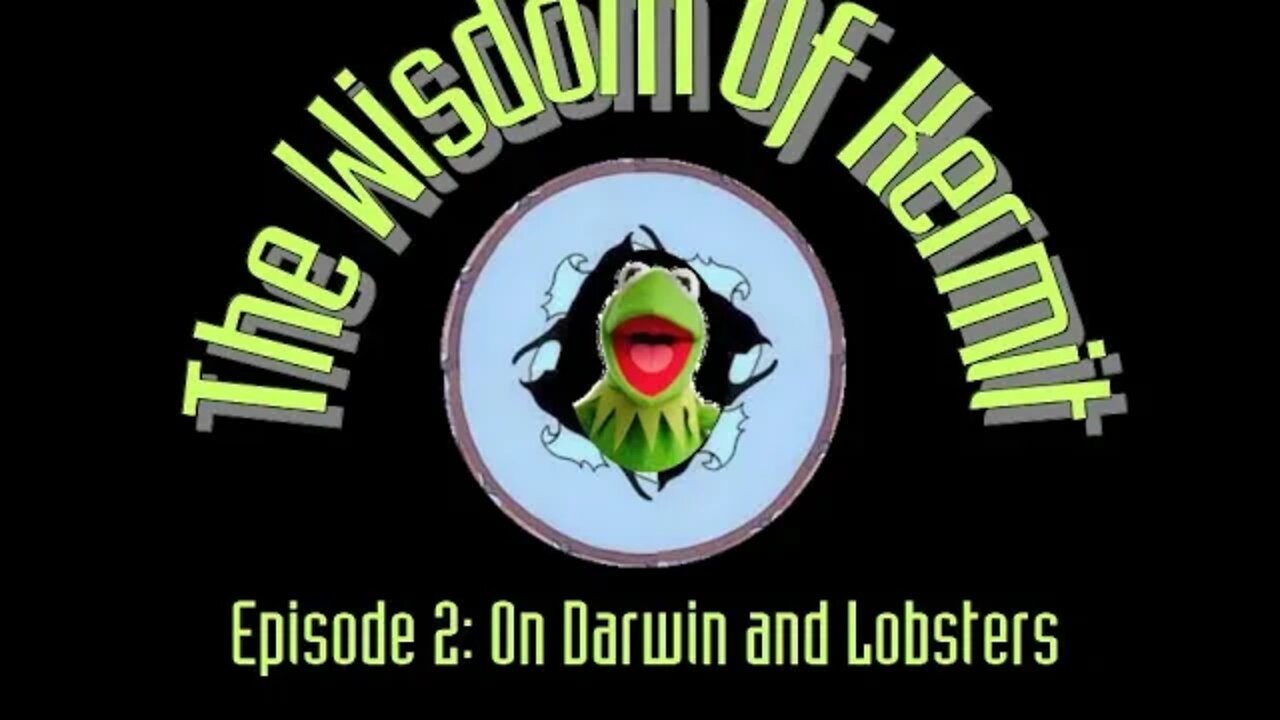 The Wisdom Of Kermit Ep.2 : On Darwin and Lobsters