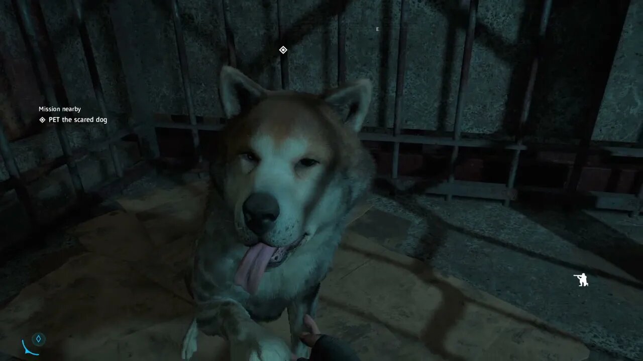 Far Cry New Dawn Part 12-Freedom For Dogs