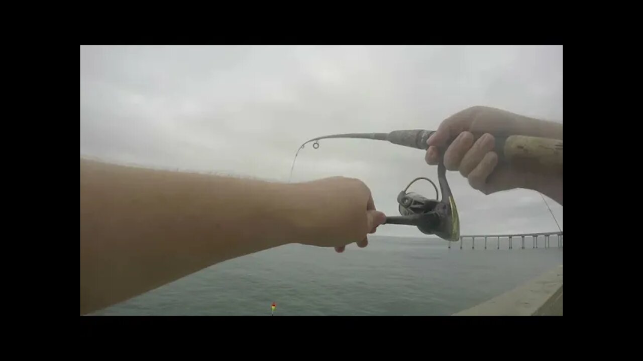 Ocean Beach pier fishing! Sand Bass Fishing 2!