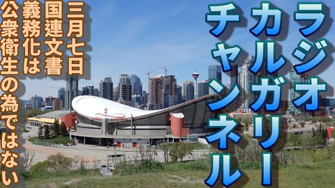 【世界の話題】国連文書 ワクチン接種義務は公衆衛生の為ではない（YouTube削除動画）