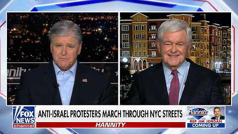 Newt Gingrich: People Must Have The 'Guts' To Stand Up For America, The Rule Of Law