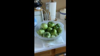 Pickled green tomatoes part 1