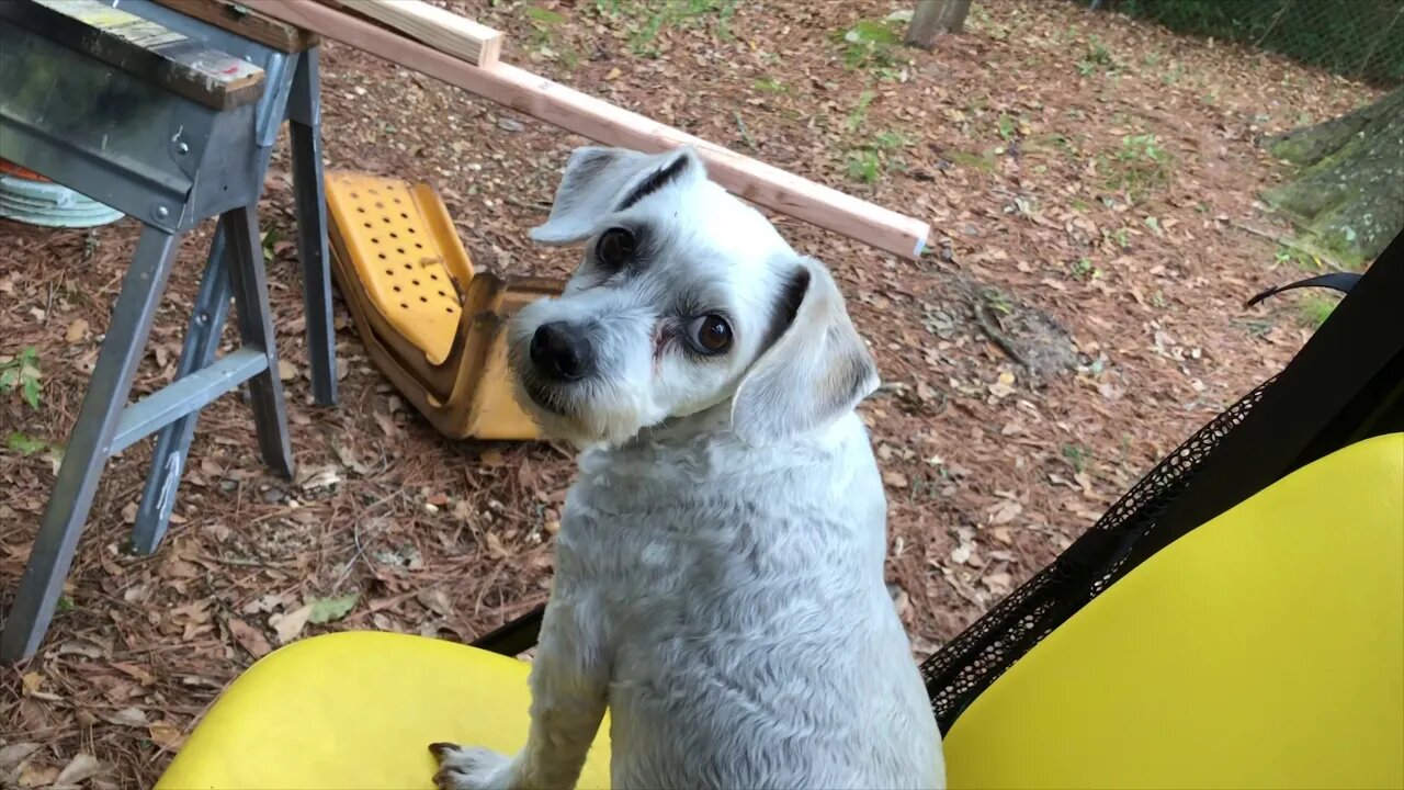 Garage to shop conversion, part 9