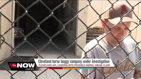 APL investigating Cleveland horse buggy company