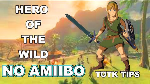 How to get Hero of the Wild set. *NO AMIIBO* Zelda Tears of the Kingdom.