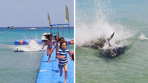 Tuna In Malta Causes Massive Chaos With Bizarre Behavior