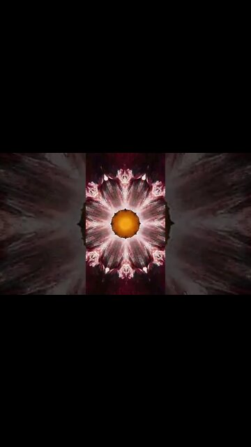 Terence McKenna inhales DMT nasally #terencemckenna #dmt #psychedelic #mandala #psyart