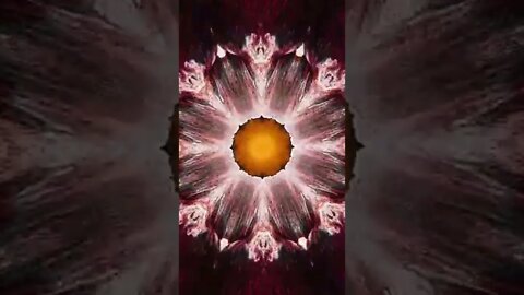 Terence McKenna inhales DMT nasally #terencemckenna #dmt #psychedelic #mandala #psyart