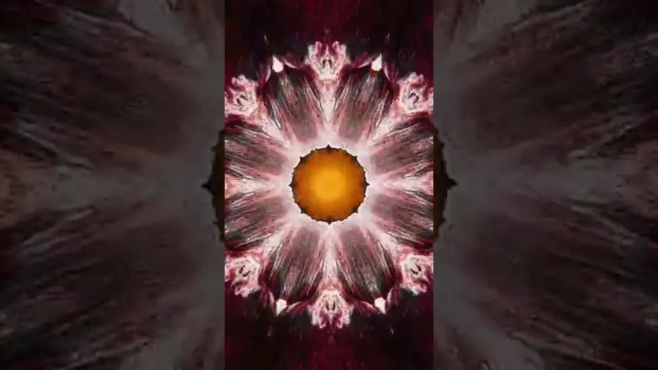 Terence McKenna inhales DMT nasally #terencemckenna #dmt #psychedelic #mandala #psyart