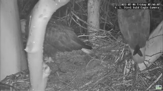 USS Eagles - Intruder prevention