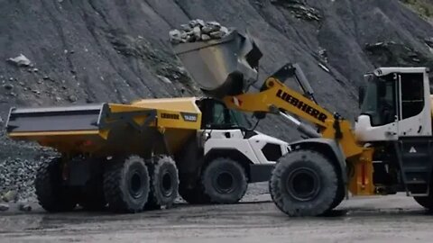 2021 Liebherr TA230 Litronic