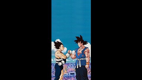 Goku vs vegeta