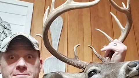 Deer Story And Q&A