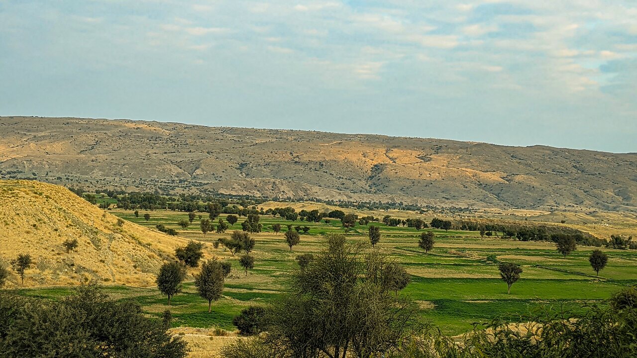 Beautiful Green scene. Such a beautiful picnic resort.